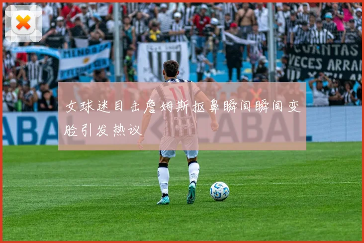 女球迷目击詹姆斯抠鼻瞬间瞬间变脸引发热议