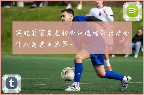 英超夏窗最差转会评选结果出炉舍什科高票当选第一